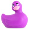 Canard Vibrant Classic – Violet