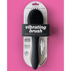 Brosse à Cheveux Vibrante Vibraliss – 11,5 x 3,3 cm Noir