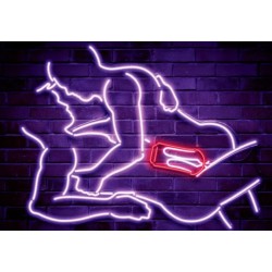 Masturbateur pour deux FROT – Deux entrées