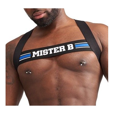 Harnais Élastique X-Back – Noir & Bleu