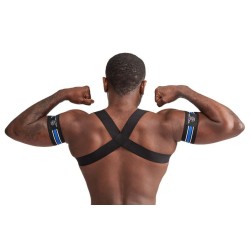 Harnais Élastique X-Back – Noir & Bleu