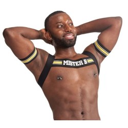 Harnais Élastique X-Back – Noir & Jaune