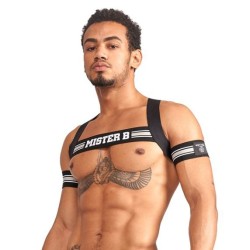 Brassards Biceps Urban Club – Gris x2