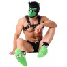 Chaussettes Paw Kinky Puppy – Vertes