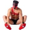 Chaussettes Paw Kinky Puppy – Rouges