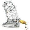 Cage de chasteté Lancelot Net – 9 x 3,5 cm – Argent