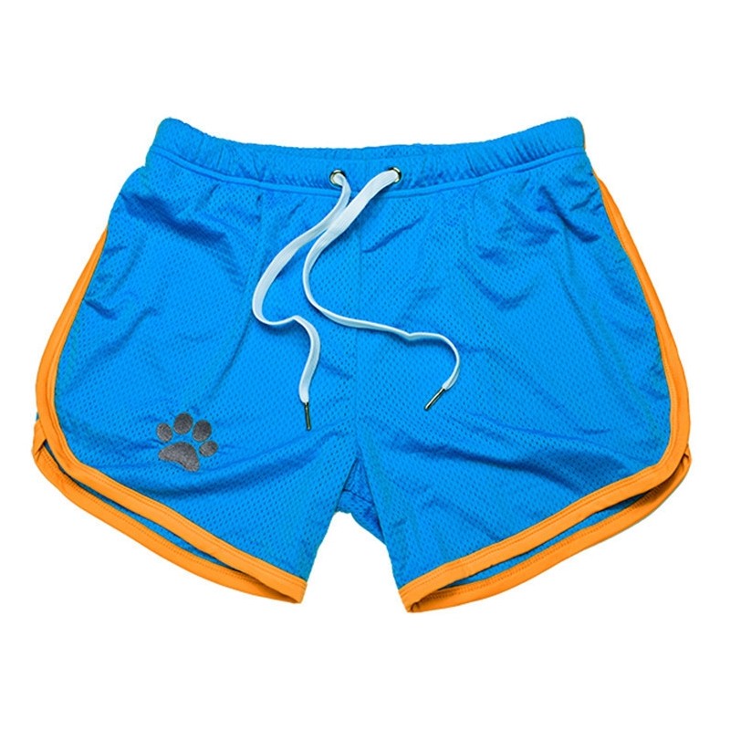 Short Paw – Bleu & Jaune