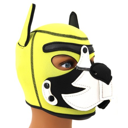 Cagoule Puppy Fox Néoprène – Jaune & Blanc