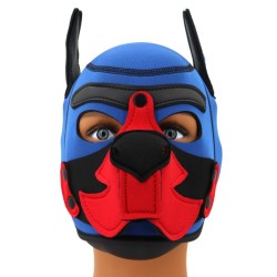 Cagoule Puppy Fox Néoprène – Bleu & Rouge