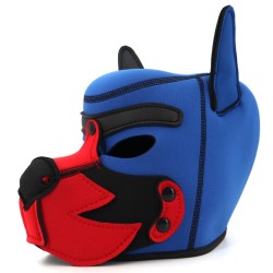 Cagoule Puppy Fox Néoprène – Bleu & Rouge