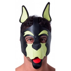 Masque Puppy 665 – Jaune & Vert