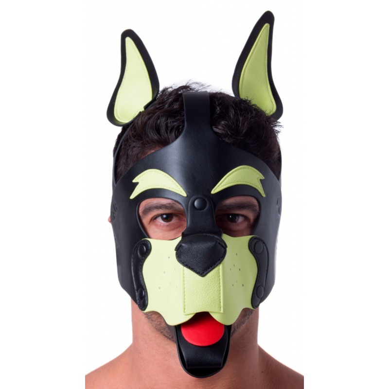 Masque Puppy 665 – Jaune & Vert