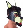 Masque Puppy 665 – Jaune & Vert