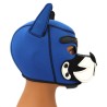 Hood Puppy Fox – Néoprène Bleu & Blanc