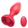 Plug Bijou Vibrant Rose – 10 x 4 cm