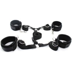 Attaches Sponge – Lit