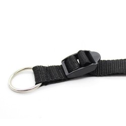 Attaches Sponge – Lit