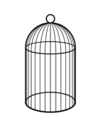 Cage de chasteté